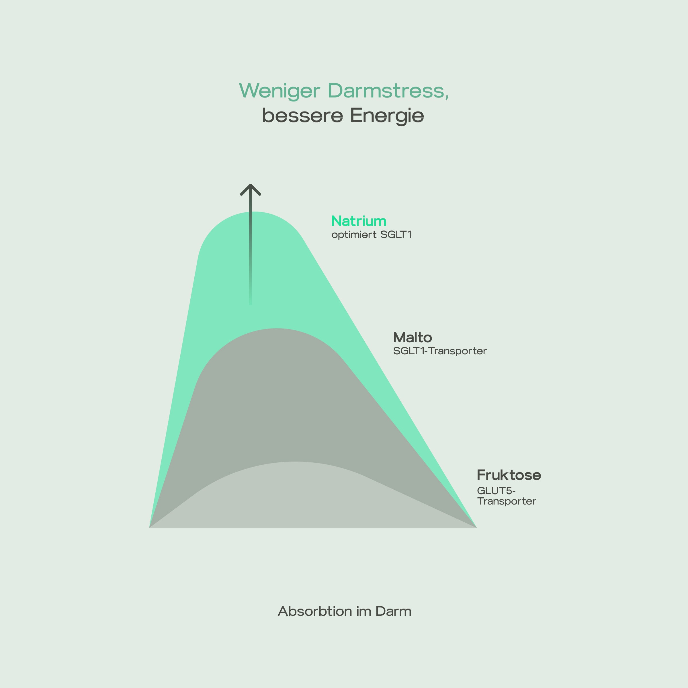Pure Carb BULK Bundle (Limited Offer)
